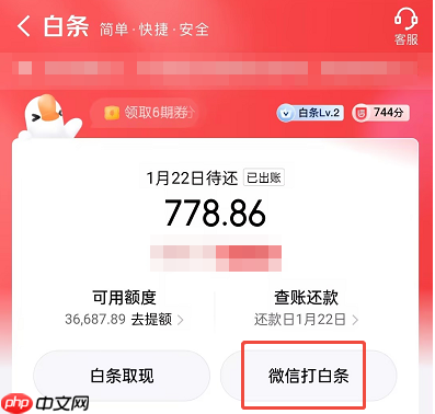 微信打白条怎么使用？（图）只需两步！使用方法及范围一览