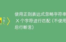 使用正则表达式忽略字符串前 X 个字符进行匹配 (不使用后行断言)