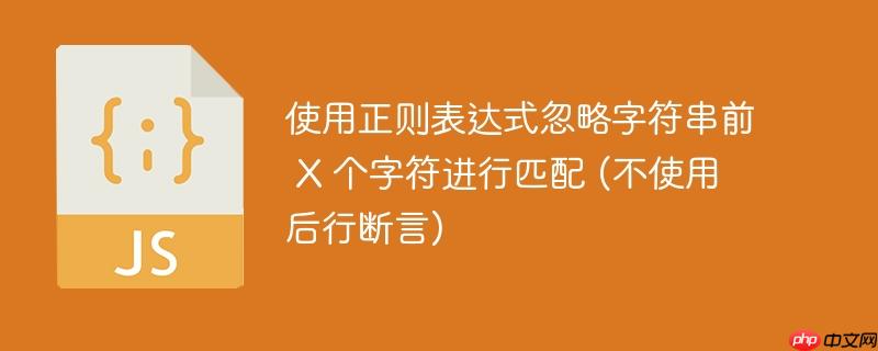 使用正则表达式忽略字符串前 X 个字符进行匹配 (不使用后行断言)-小浪学习网