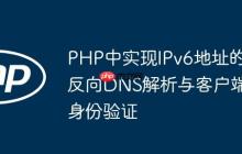 PHP中實(shí)現(xiàn)IPv6地址的反向DNS解析與客戶端身份驗(yàn)證