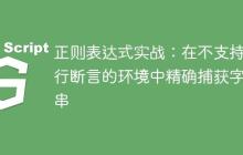 正则表达式实战：在不支持先行断言的环境中精确捕获字符串