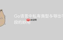 Go语言中私有类型与导出字段的妙用