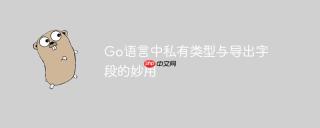 Go语言中私有类型与导出字段的妙用