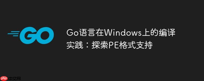 Go语言在Windows上的编译实践：探索PE格式支持