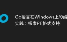 Go语言在Windows上的编译实践：探索PE格式支持