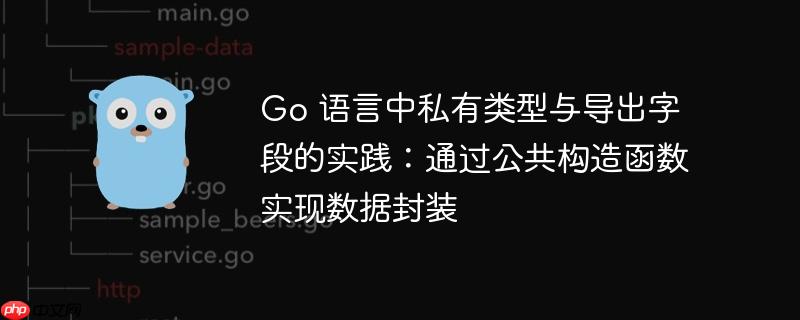 Go 语言中私有类型与导出字段的实践：通过公共构造函数实现数据封装