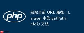 获取当前 URL 路径：Laravel 中的 getPathInfo() 方法
