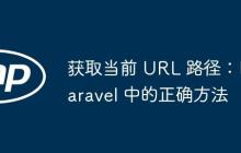 獲取當前 URL 路徑：Laravel 中的正確方法