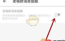 老柚如何关闭群消息