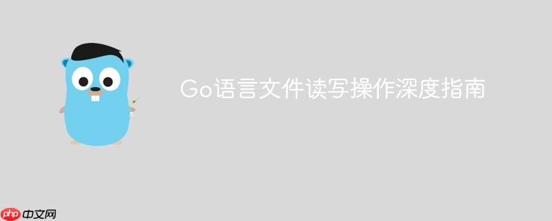 Go语言文件读写操作深度指南