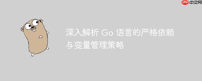 深入解析 Go 语言的严格依赖与变量管理策略
