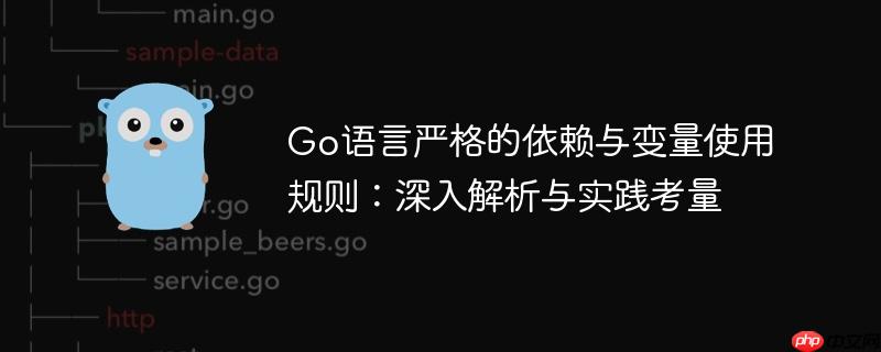 Go语言严格的依赖与变量使用规则：深入解析与实践考量-小浪学习网