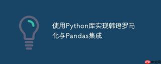 使用Python库实现韩语罗马化与Pandas集成