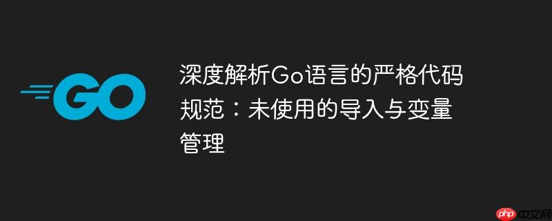 深度解析Go语言的严格代码规范：未使用的导入与变量管理-小浪学习网