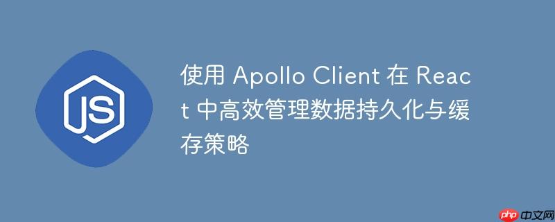使用 apollo client 在 react 中高效管理数据持久化与缓存策略