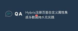 Hybris注册页面自定义属性集成与数据持久化实践