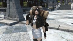 ファイナルファンタジー14:シルジョンを捕まえる方法