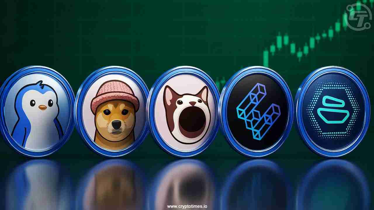 顶级赢家、比特币反弹与PENGU WIF:是什么在推动加密货币市场?