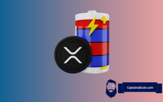 XRP? ?? ?? ?? : ??? ??? ???? ?? ??? ??????