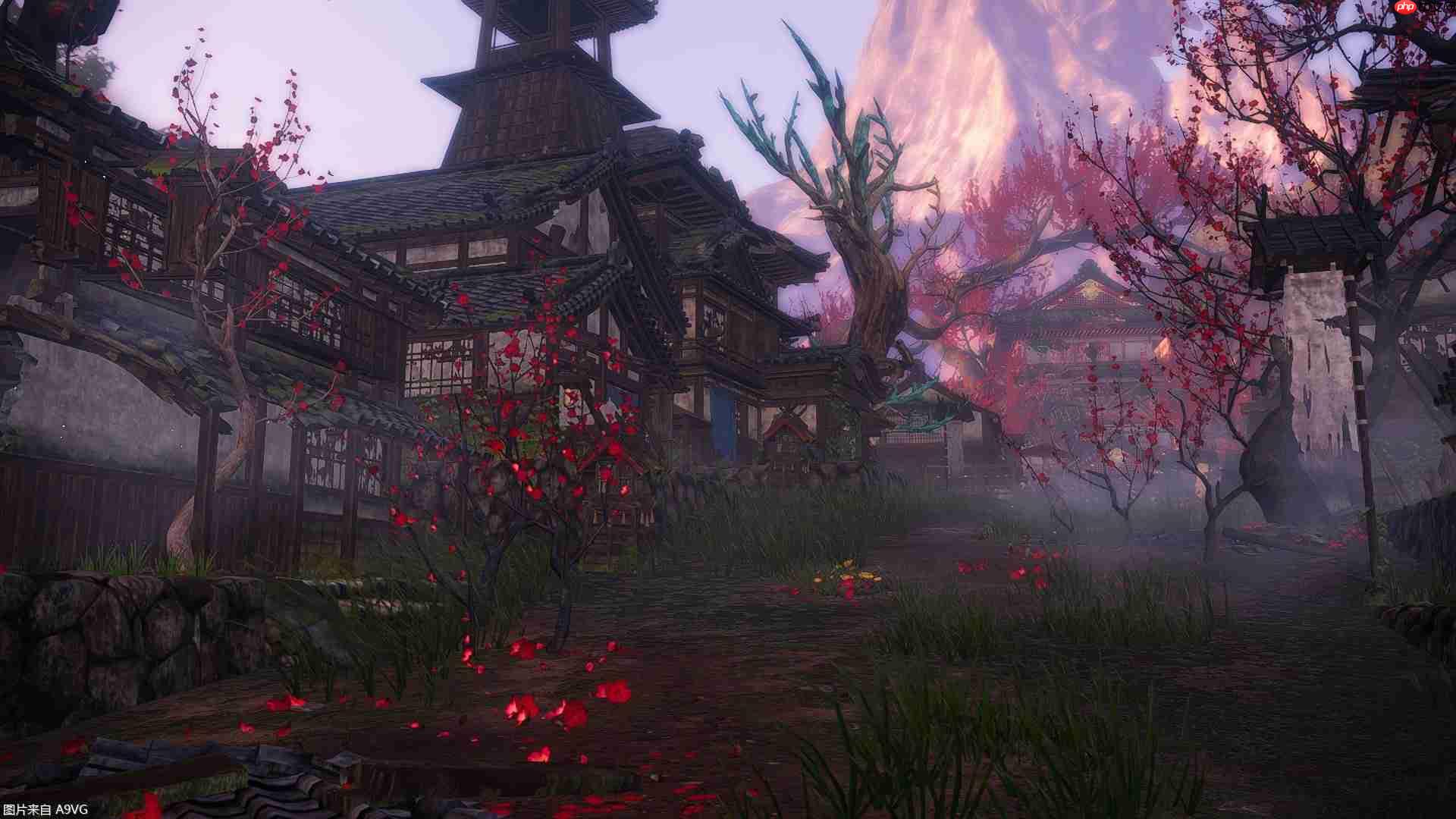 《狂野之心S》NS2体验版今日发布