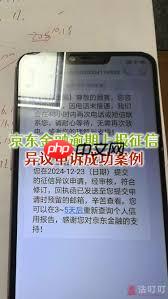 京东金条无力还款怎么办