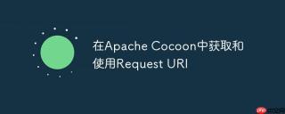 在Apache Cocoon中获取和使用Request URI