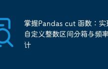 掌握Pandas cut 函数：实现自定义整数区间分箱与频率统计