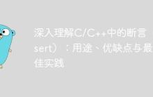 深入理解C/C++中的断言（assert）：用途、优缺点与最佳实践