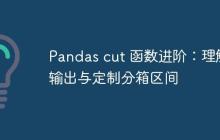 Pandas cut 函数进阶：理解输出与定制分箱区间