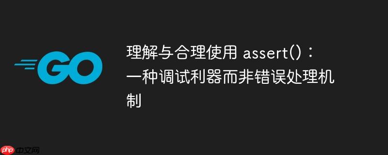 理解与合理使用 assert():一种调试利器而非错误处理机制