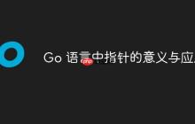 Go 语言中指针的意义与应用