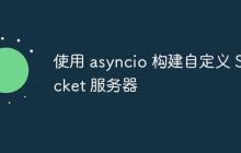 使用 asyncio 构建自定义 Socket 服务器