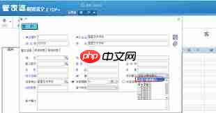 管家婆如何调账