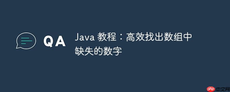 java 教程：高效找出数组中缺失的数字