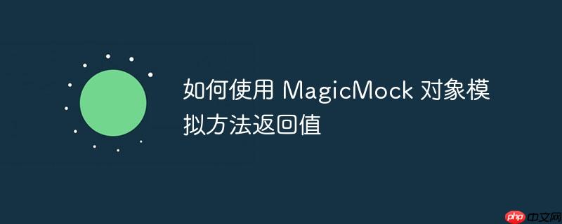 如何使用 magicmock 对象模拟方法返回值