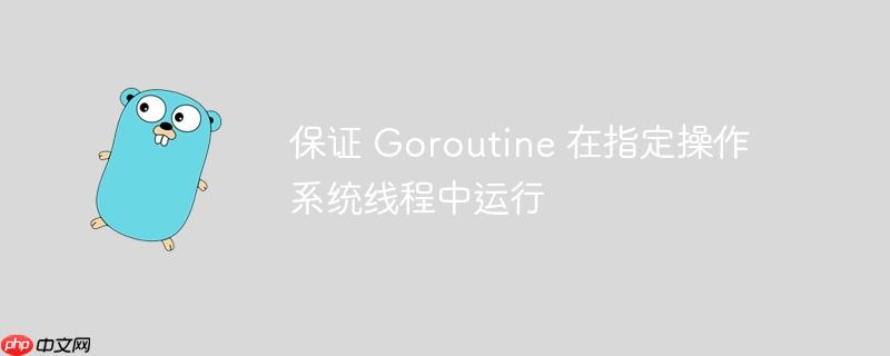 保证 goroutine 在指定操作系统线程中运行
