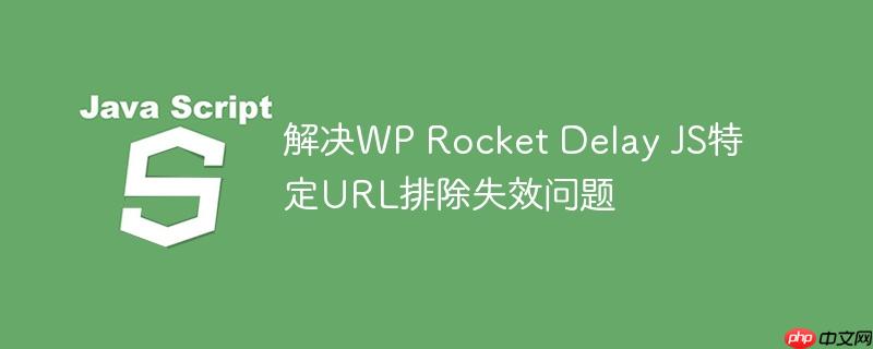 解决wp rocket delay js特定url排除失效问题