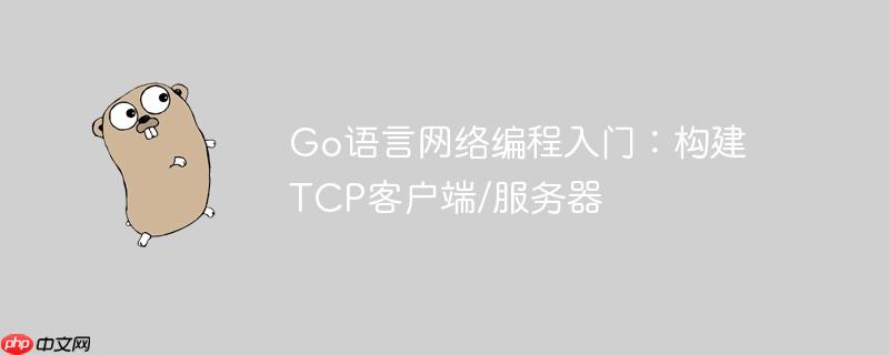 Go语言网络编程入门：构建TCP客户端/服务器