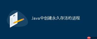 Java中创建永久存活的进程