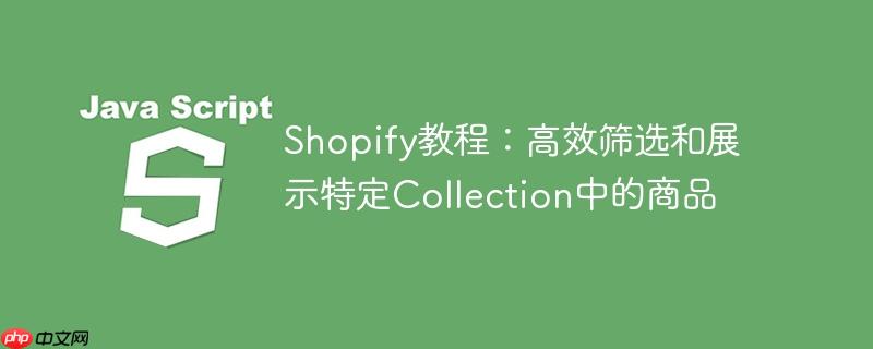 Shopify教程：高效筛选和展示特定Collection中的商品-小浪学习网