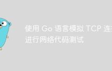 使用 Go 语言模拟 TCP 连接进行网络代码测试