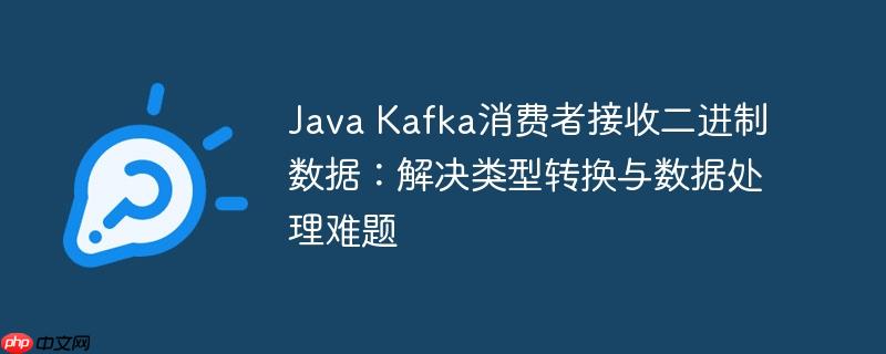 Java Kafka消费者接收二进制数据:解决类型转换与数据处理难题