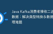 Java Kafka消費(fèi)者接收二進(jìn)制數(shù)據(jù)：解決類型轉(zhuǎn)換與數(shù)據(jù)處理難題