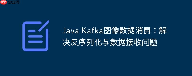 Java Kafka图像数据消费:解决反序列化与数据接收问题