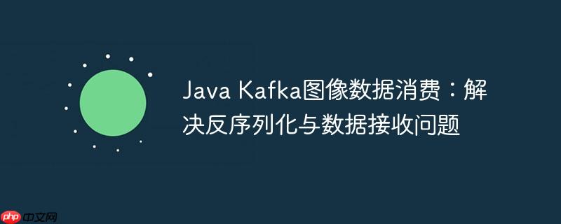 Java Kafka图像数据消费：解决反序列化与数据接收问题-小浪学习网