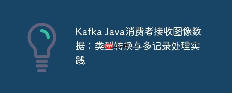 Kafka Java消费者接收图像数据:类型转换与多记录处理实践