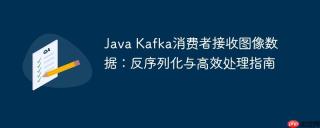 Java Kafka消费者接收图像数据：反序列化与高效处理指南
