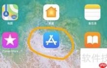 iPad下載91助手的方法