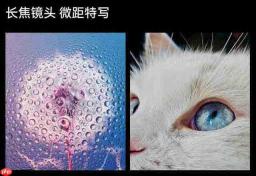 这四款折叠屏手机,谁能让你拍到“显微级”照片?