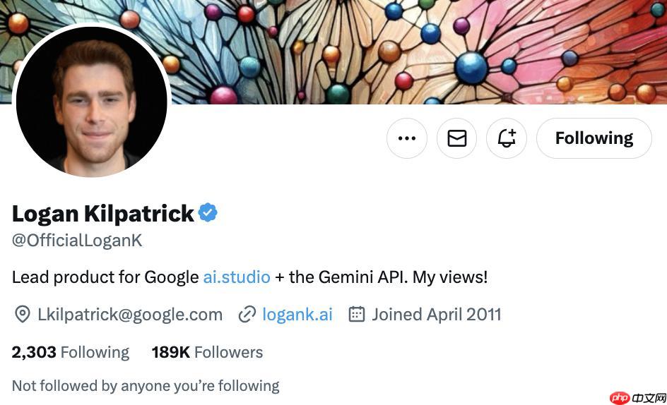 他一人撑起谷歌 90% 的 AI 宣传，劈柴真是挖到鬼才了